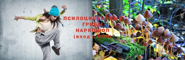 гидропоника Инта