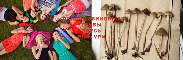 кристаллы Иннополис