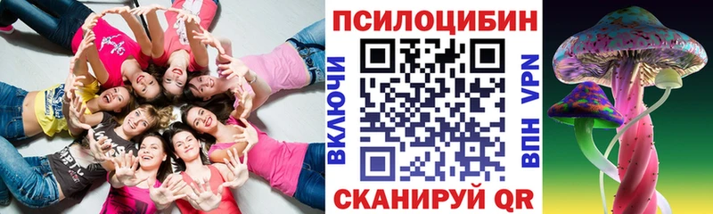 Купить где  Апрелевка  Галлюциногенные грибы Cubensis 